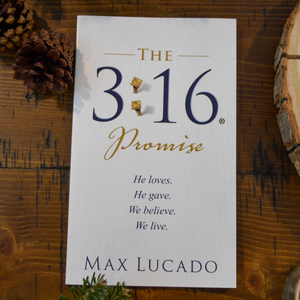 NEW! The 3:16 Promise - by Max Lucado